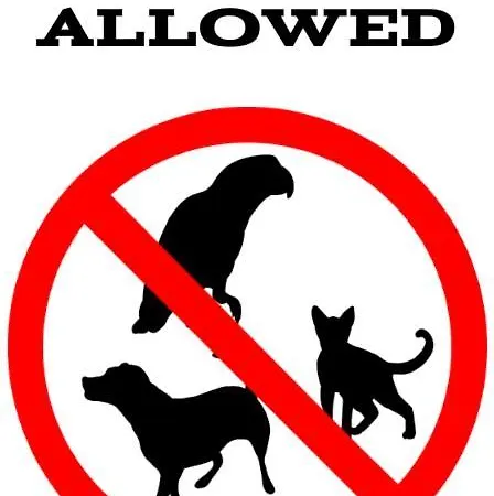 - Bursztyn * 斯维诺乌伊希切