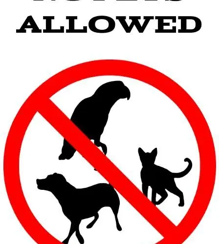 - Bursztyn * Świnoujście